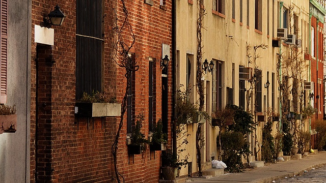 New York Insolite : Washington Mews 