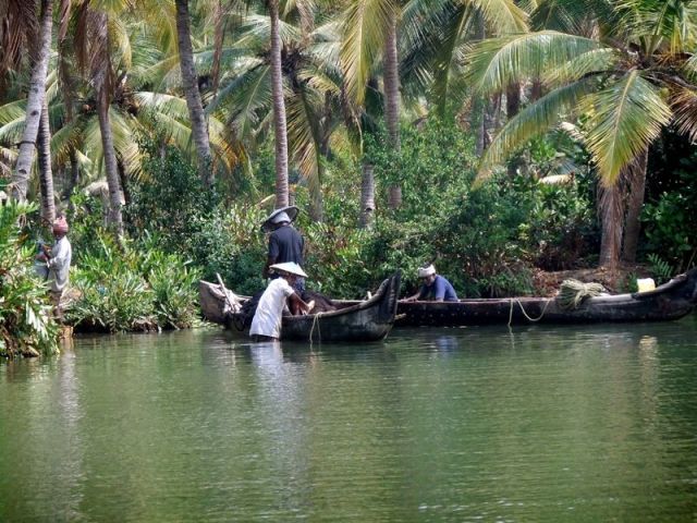 Backwaters du Kerala en Inde