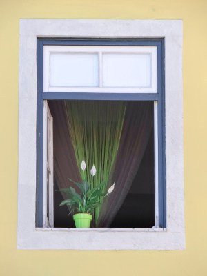 Le fado d'Alfama à Lisbonne