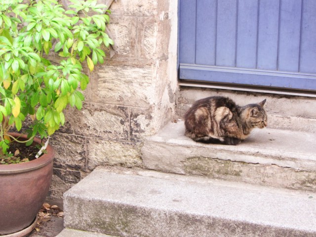 Rue Cremieux Paris Rue Cremieux Paris