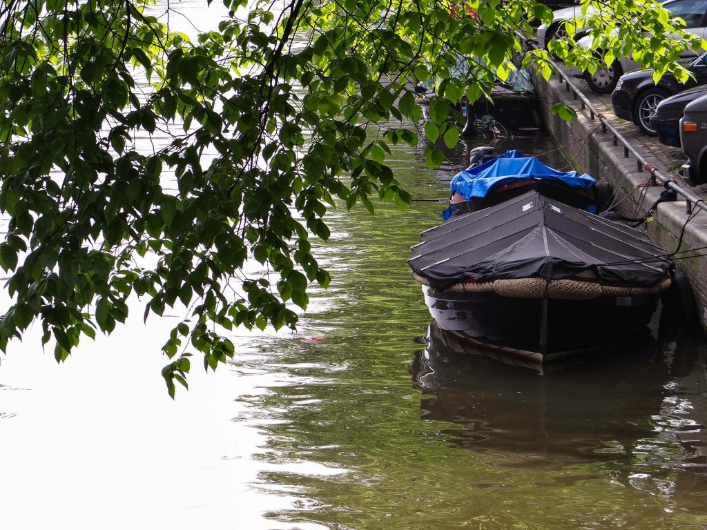 Art Daily Fix Amsterdam