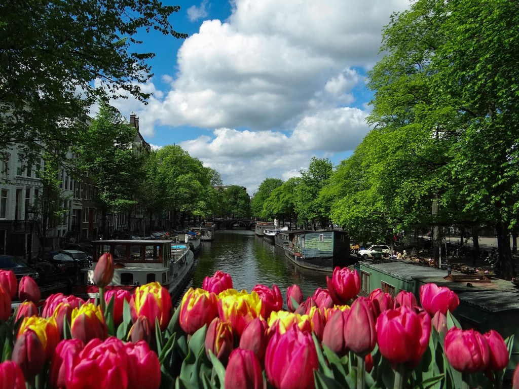 Art Daily Fix Amsterdam 