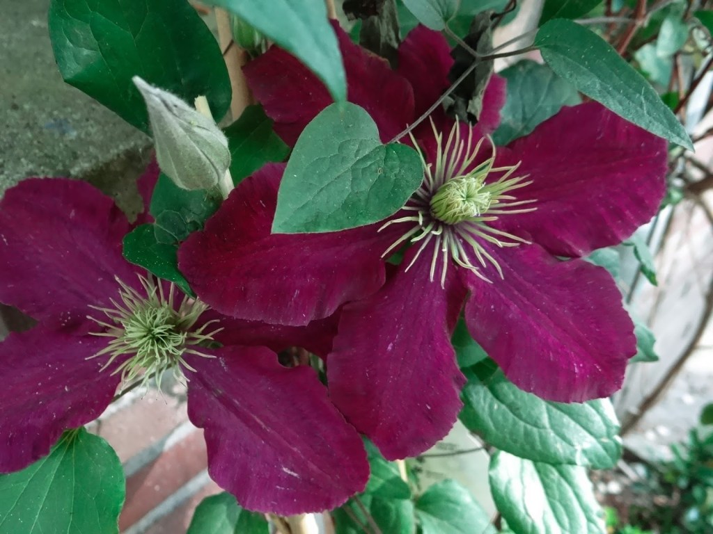 Art Daily Fix Jordaan Vintage (2)