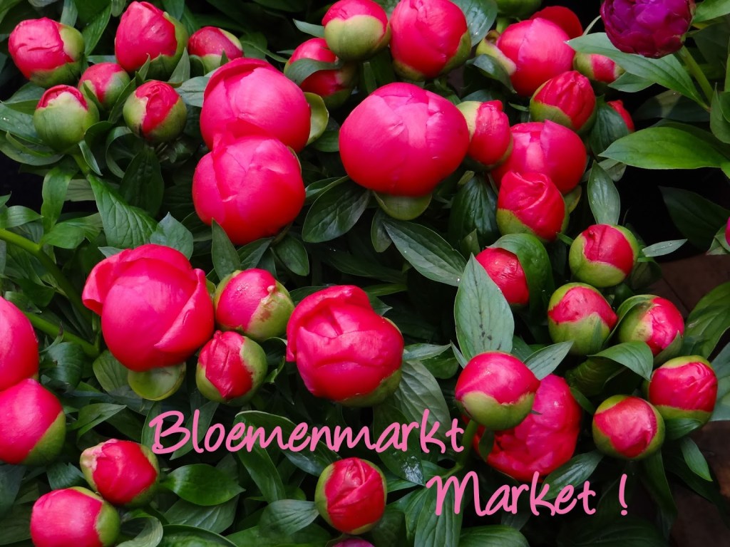 Art Daily Fix Bloemenmarkt Amsterdam