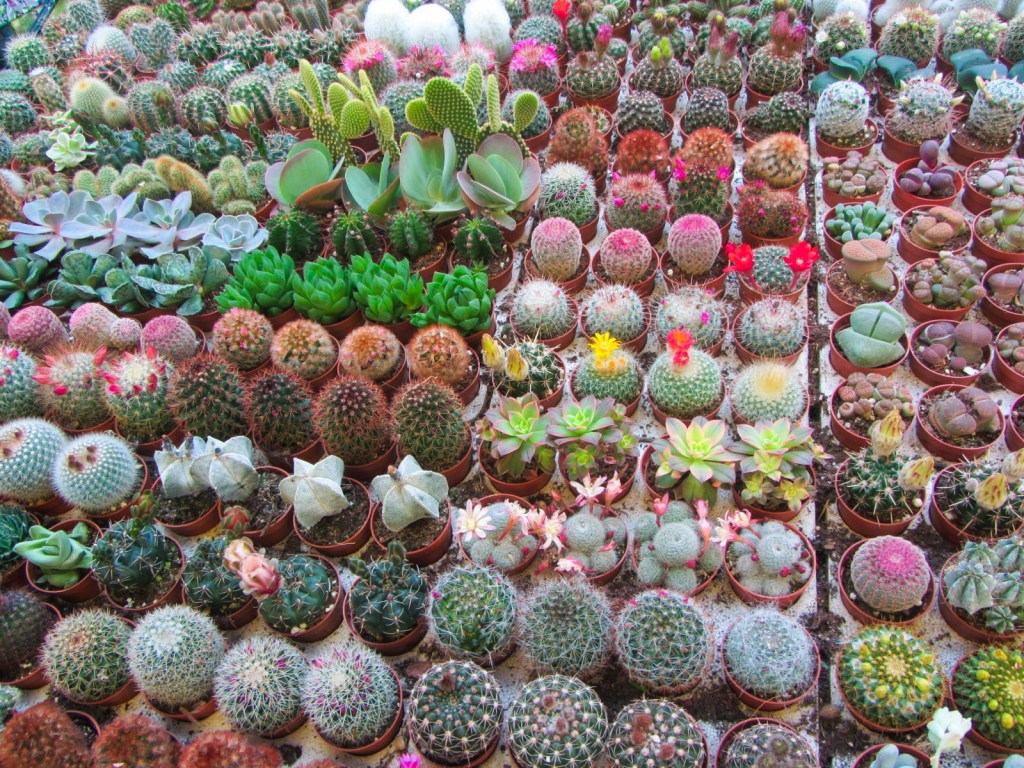 Art Daily Fix Bloemenmarkt Amsterdam