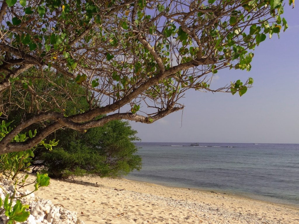 Art Daily Fix Gili Meno (3)