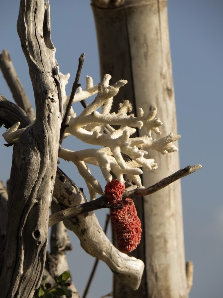 Art Daily Fix Gili Meno (4)