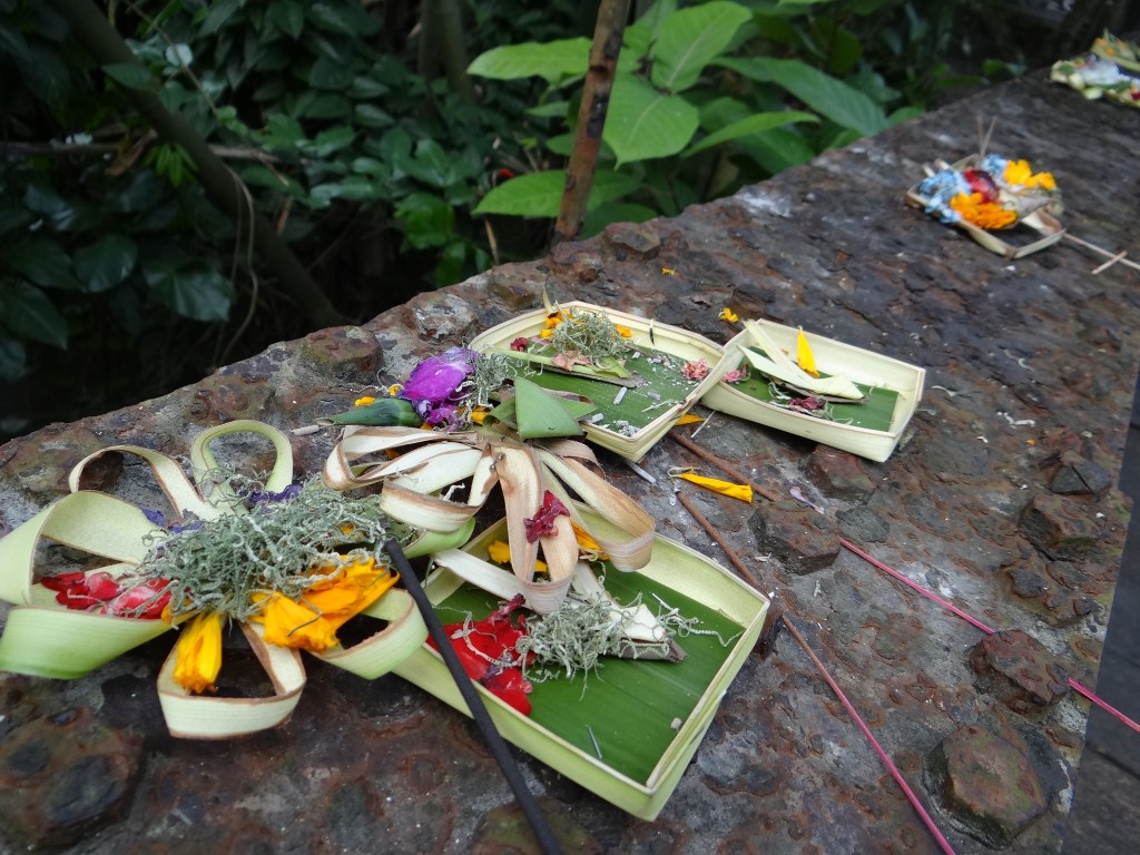 Bali Ubud Isa TS (44)