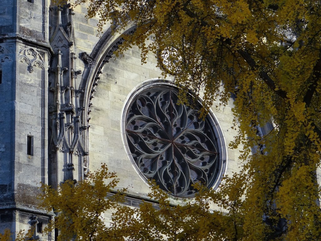 c7f01-22112014-dsc07745