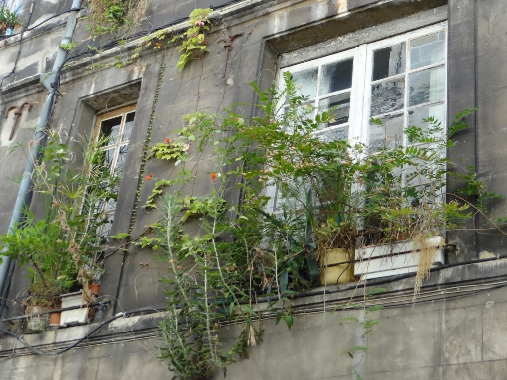 Fifty shade of grey Bordeaux