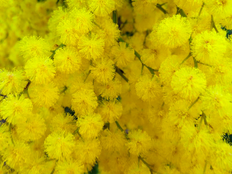 08022015-1797583_1004591699565822_6044710917021095864_n