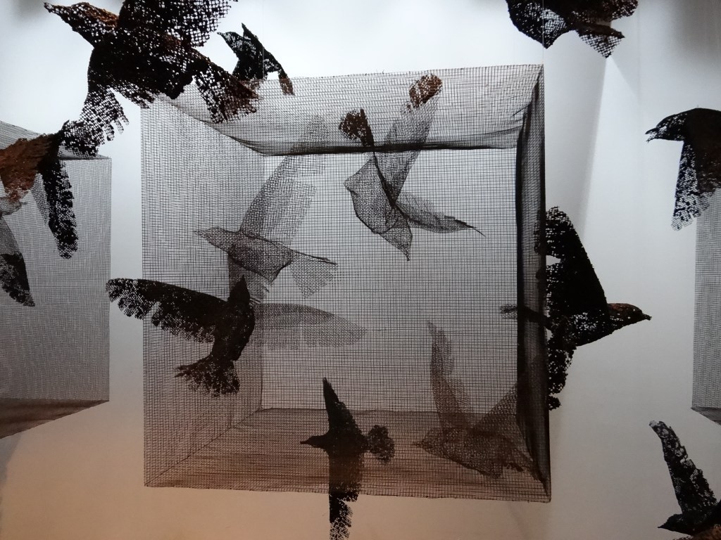 Borondo Animal Control (1)