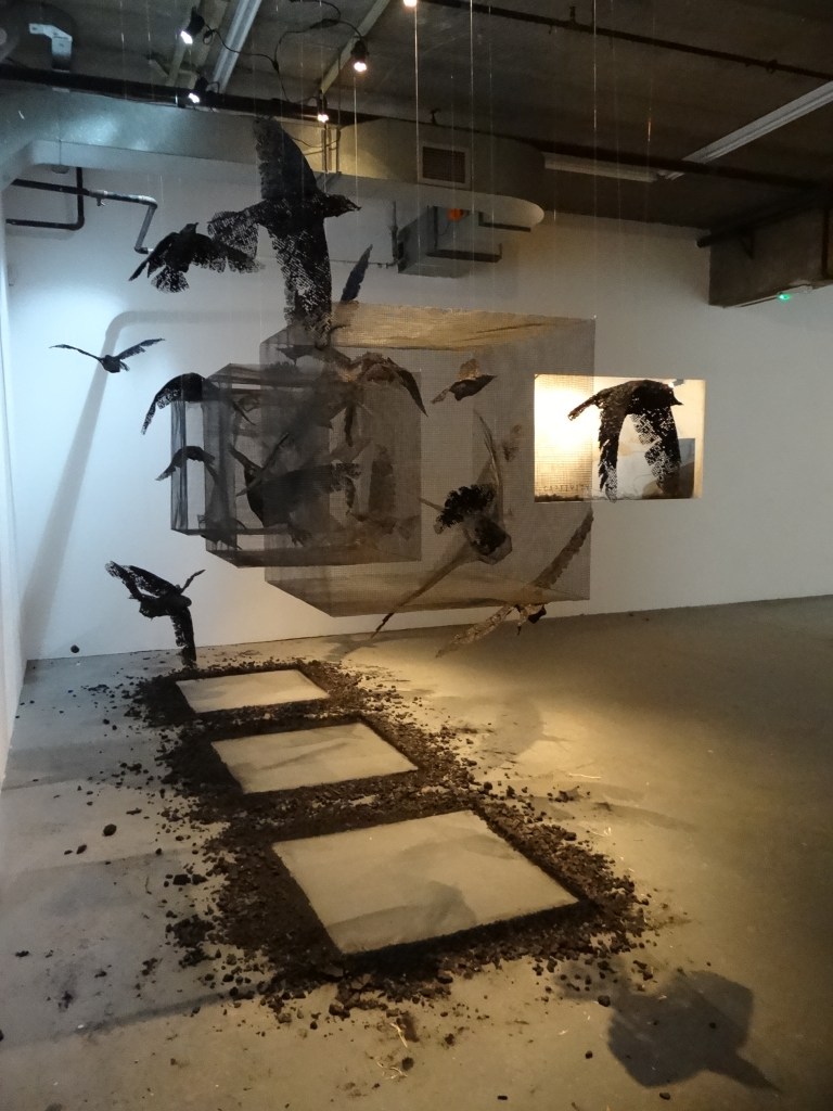 Borondo Animal Control (2)