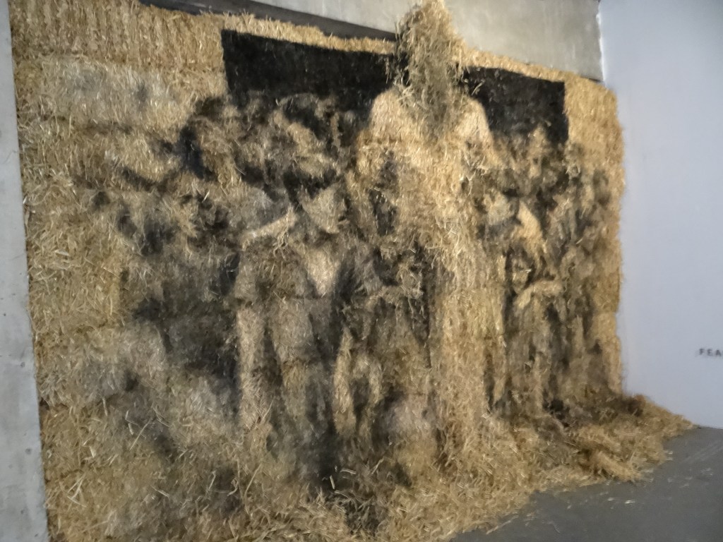 Borondo Animal Control (3)
