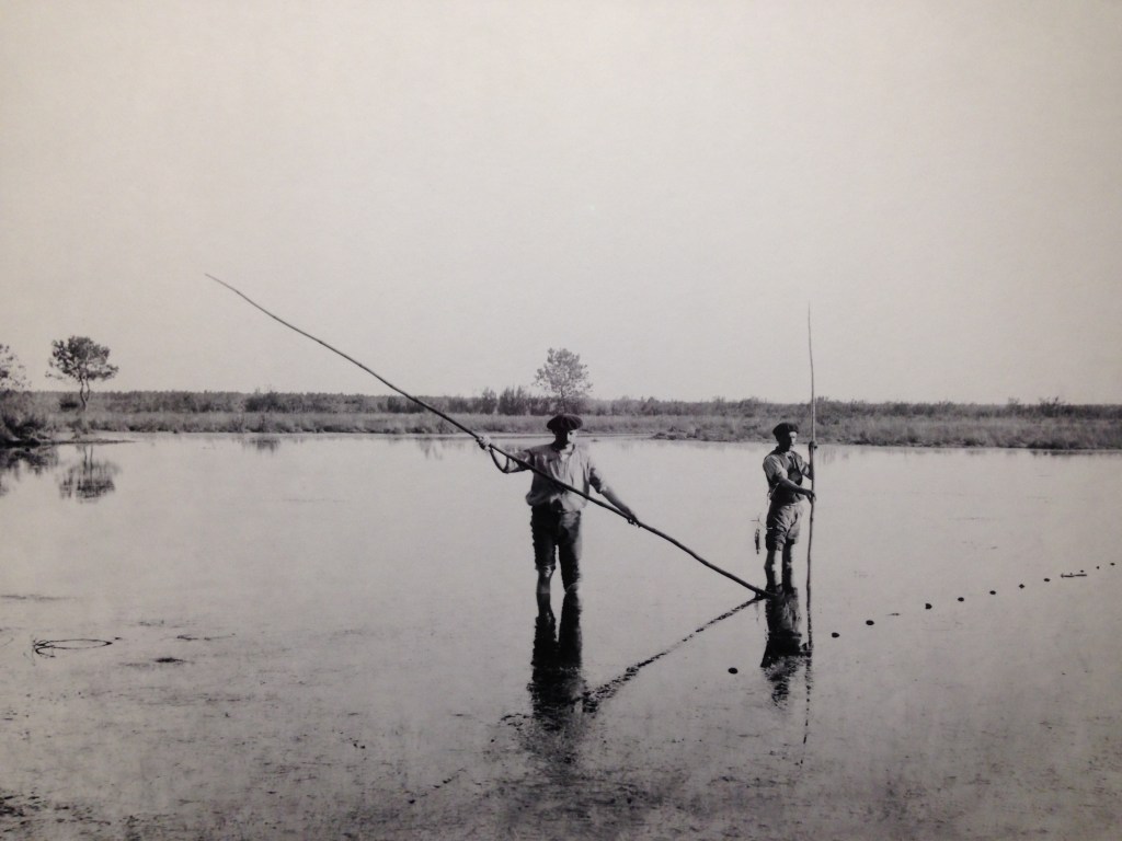 Felix Arnaudin Musée Aquitaine