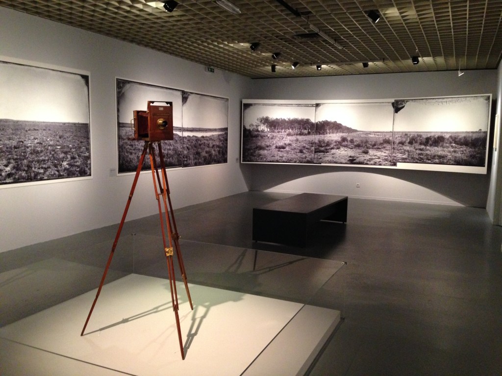 Felix Arnaudin Musée Aquitaine