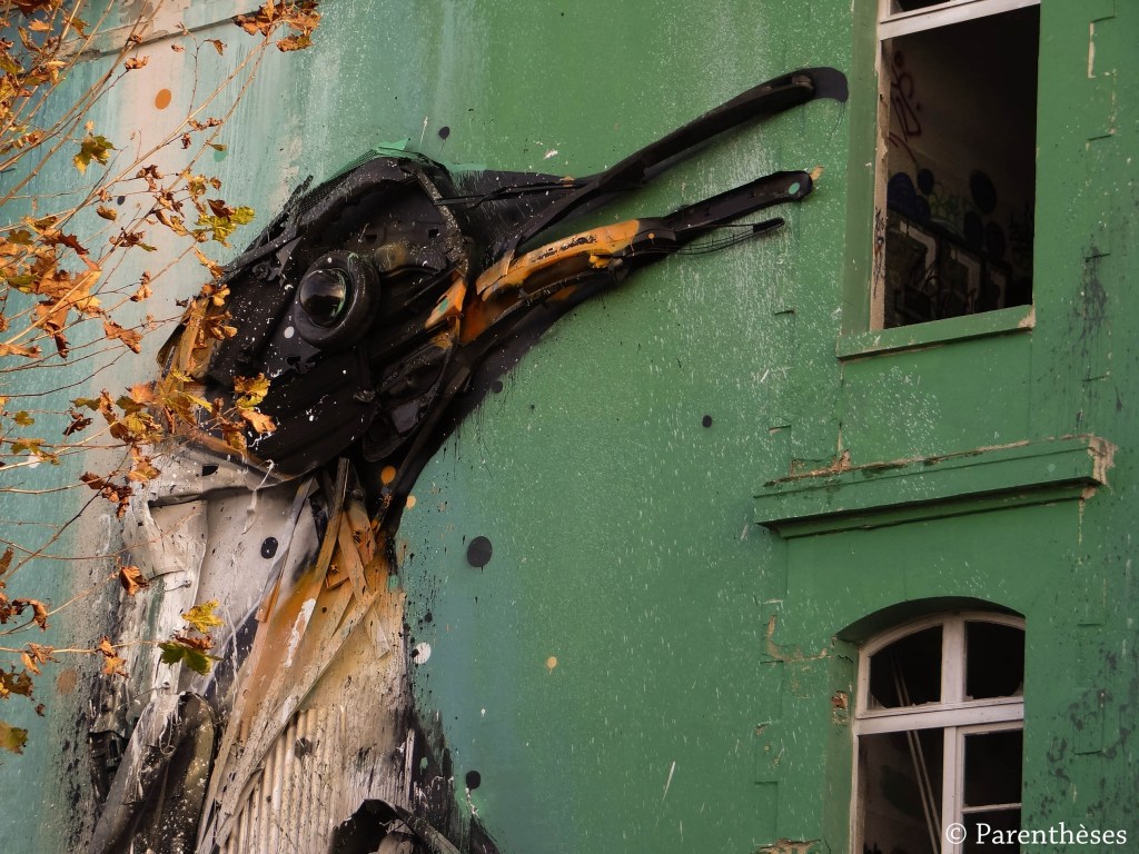Bordalo II Darwin (6)
