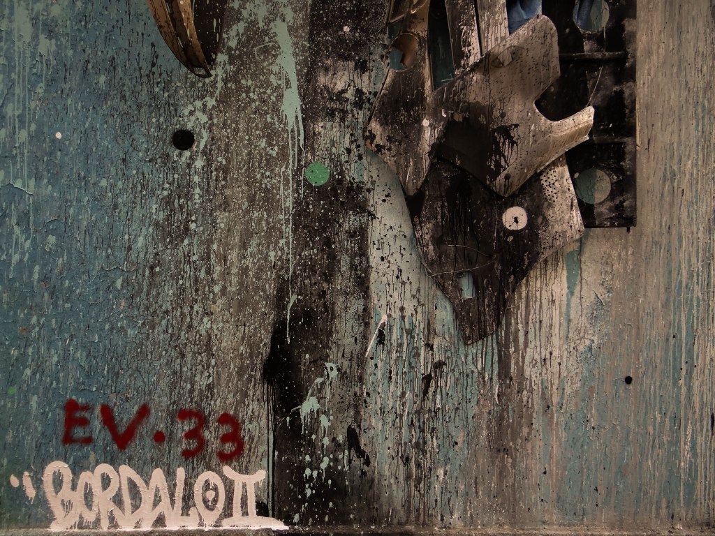 Bordalo II Darwin (8)