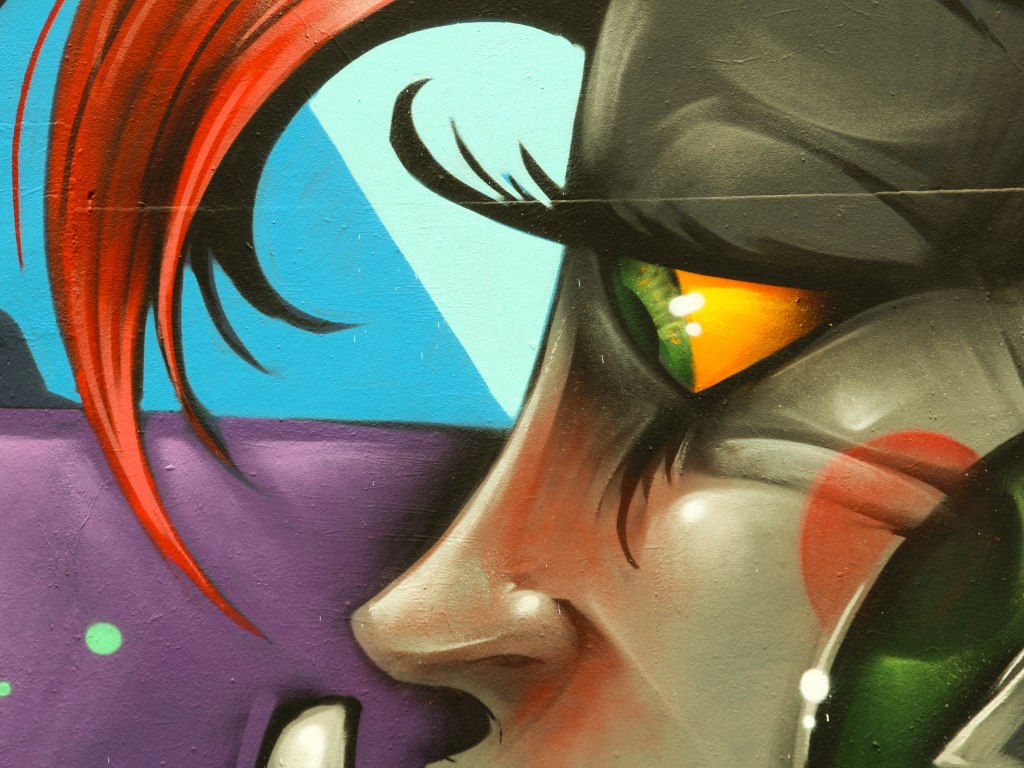 Le mur de Bordeaux Dyox (5)