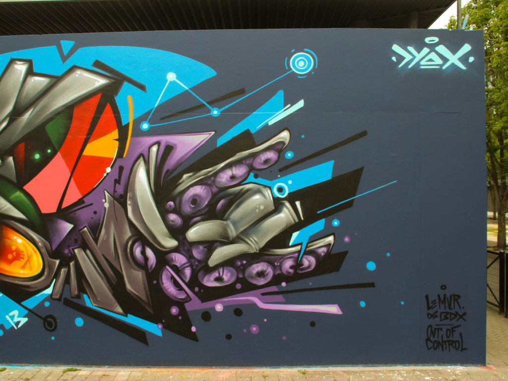 Le mur de Bordeaux Dyox (6)