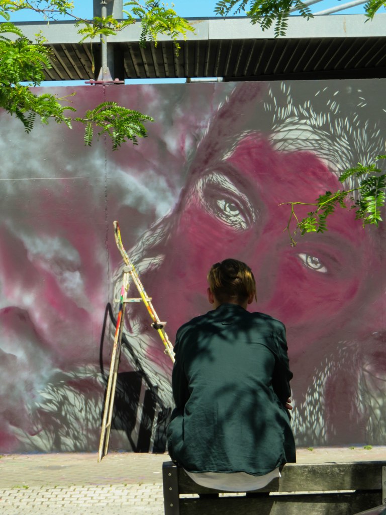 Nasti Mur de Bordeaux