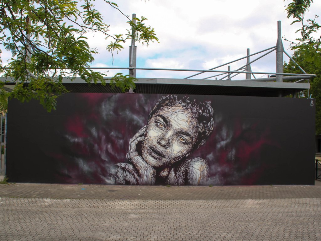 Nasti Mur de Bordeaux