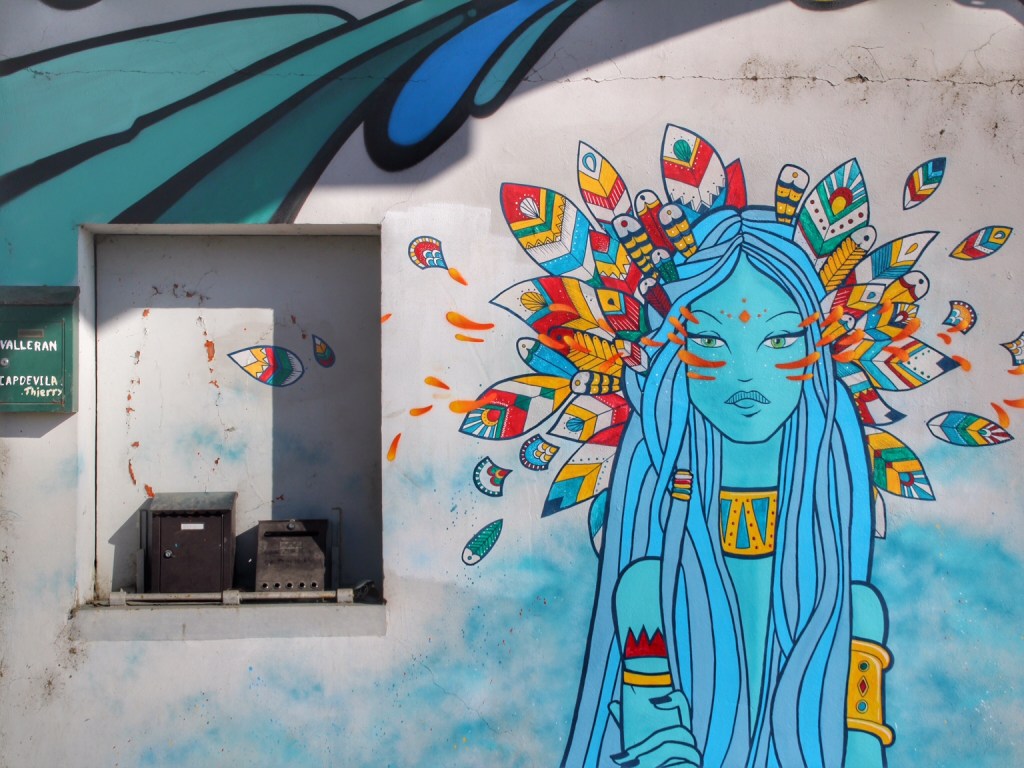 Shake Well Graffiti Bordeaux (12)