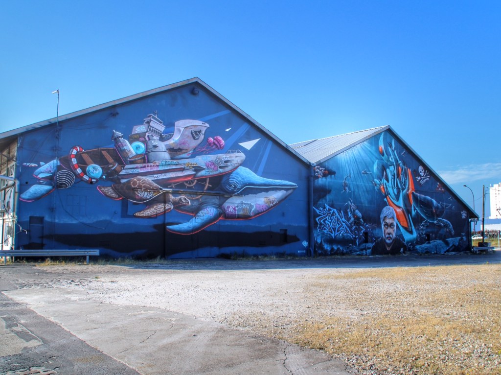 Shake Well Graffiti Bordeaux (13)