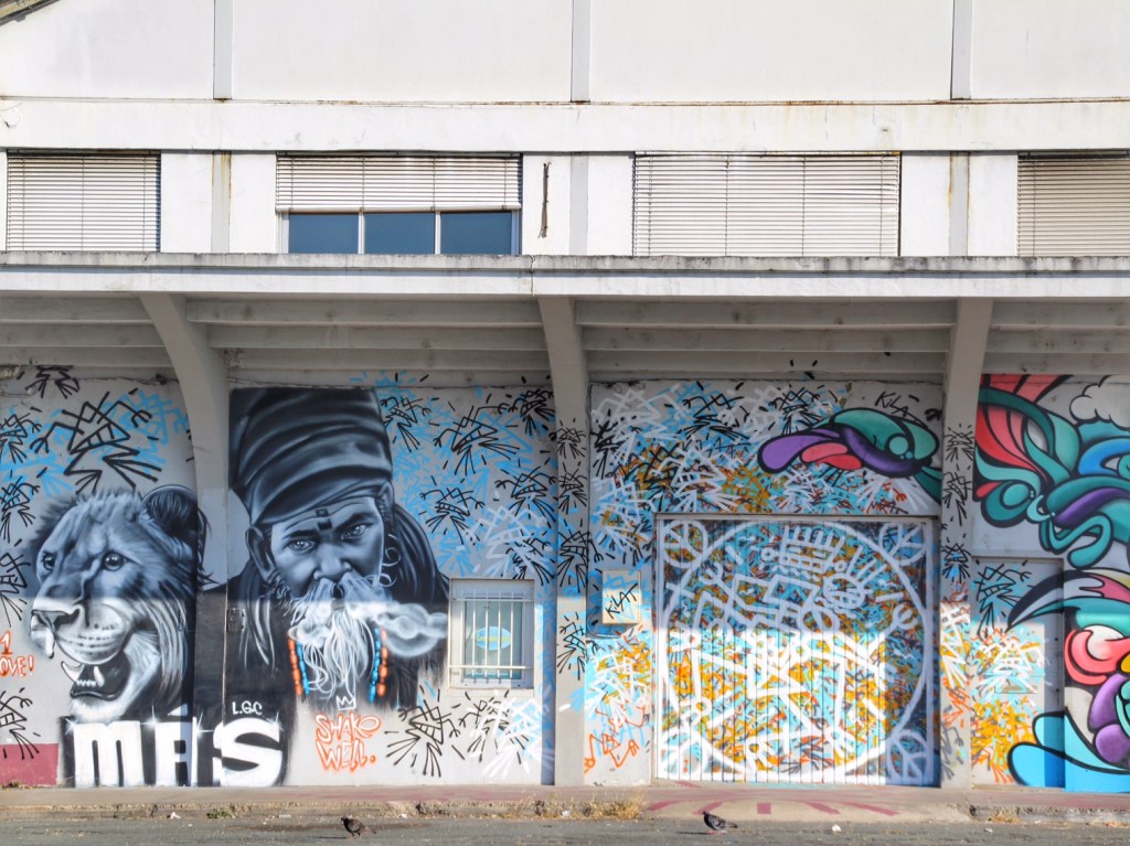 Shake Well Graffiti Bordeaux (15)