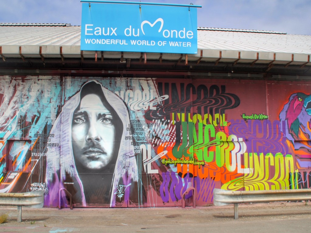 Shake Well Graffiti Bordeaux (16)