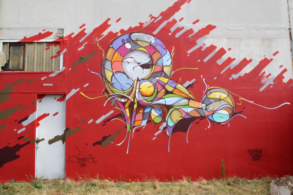 Shake Well Graffiti Bordeaux (17)