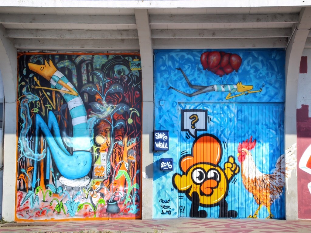 Shake Well Graffiti Bordeaux (19)