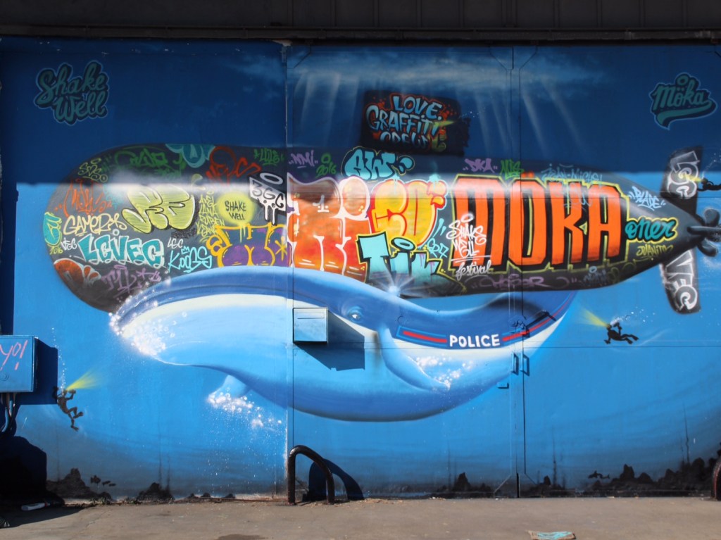 Shake Well Graffiti Bordeaux (21)