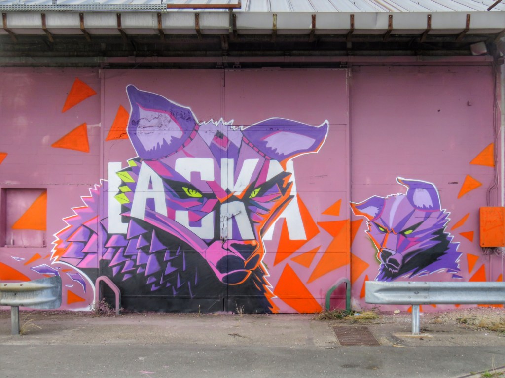 Shake Well Graffiti Bordeaux (8)