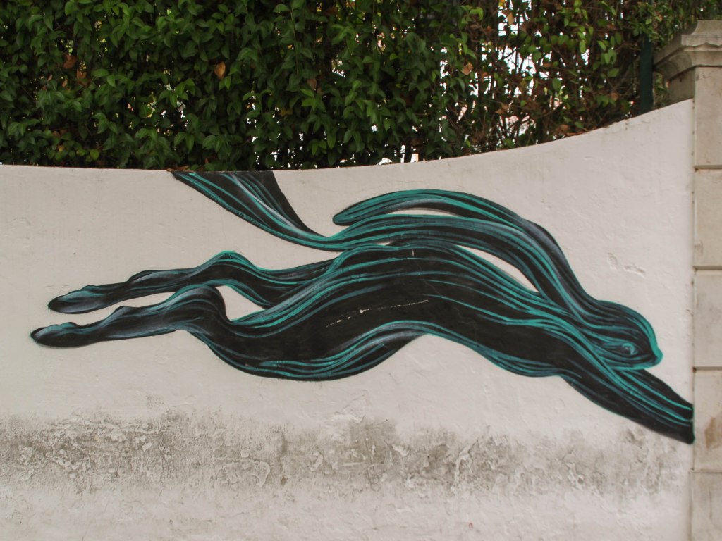 pantonio-casa-da-cerca-7